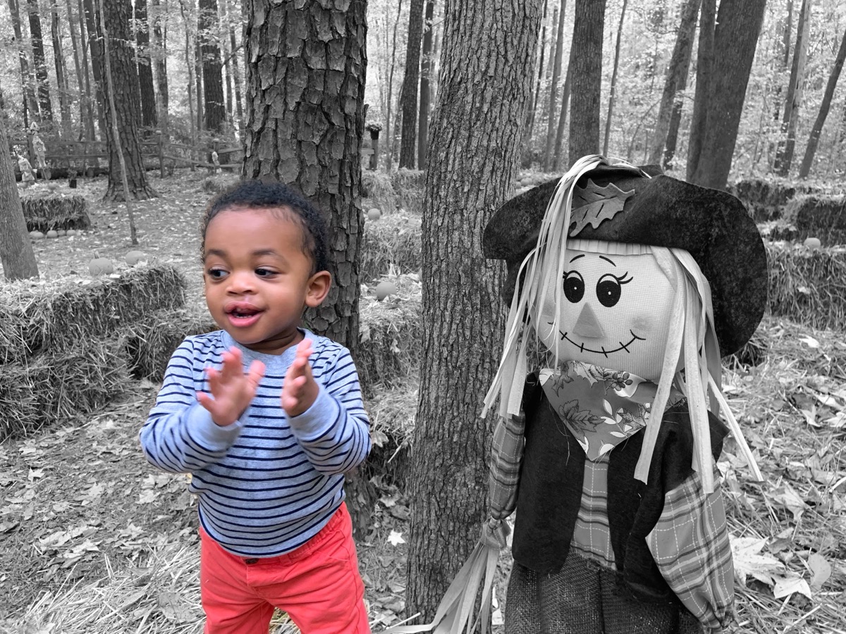 Yonas in a blue striped shirt clapping his hands next to a scarecrow at a pumpkin patch, black and white color-pop photo with Yonas in color